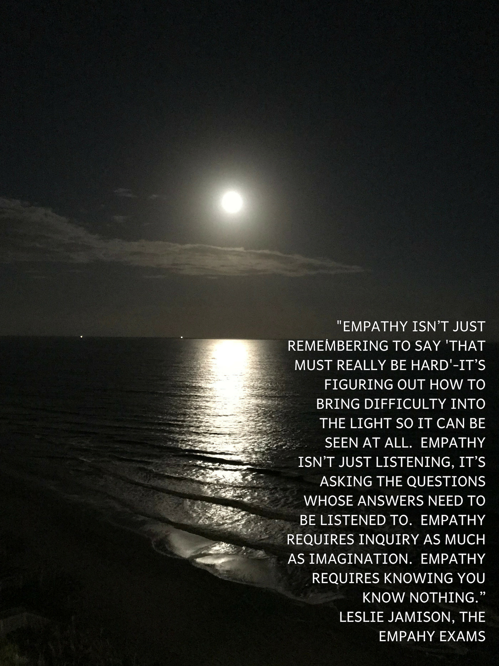 Empathy Exams Quote.jpg