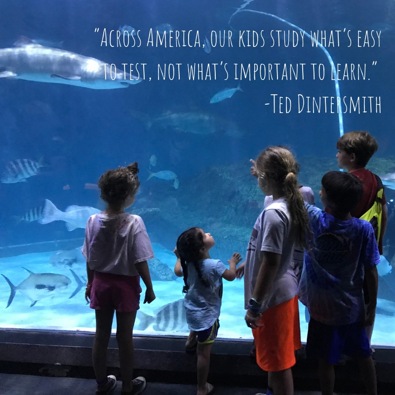 Ted Dintersmith quote.jpg